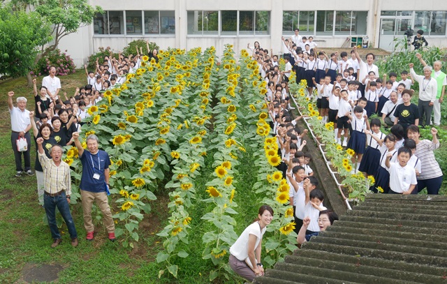 体験学習イメージ1
